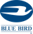 Blue Bird